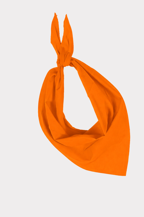Oranje T Shirts Hoodies WK 2026 Koningsdag OranjeWear oranje-t-shirts-hoodies-wk-2026-koningsdag-oranjewear